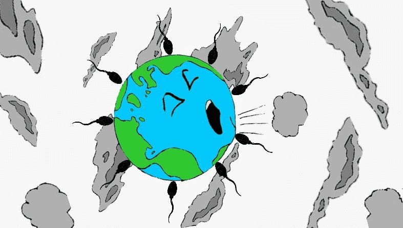 How does pollution affect an individual’s reproductive life?