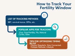 How to Track Your Fertility Window
